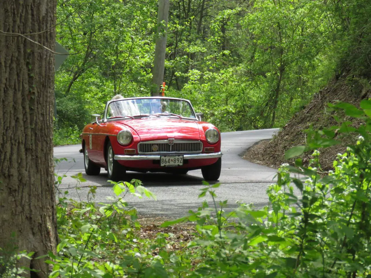 A red car driving down the road in the woods.