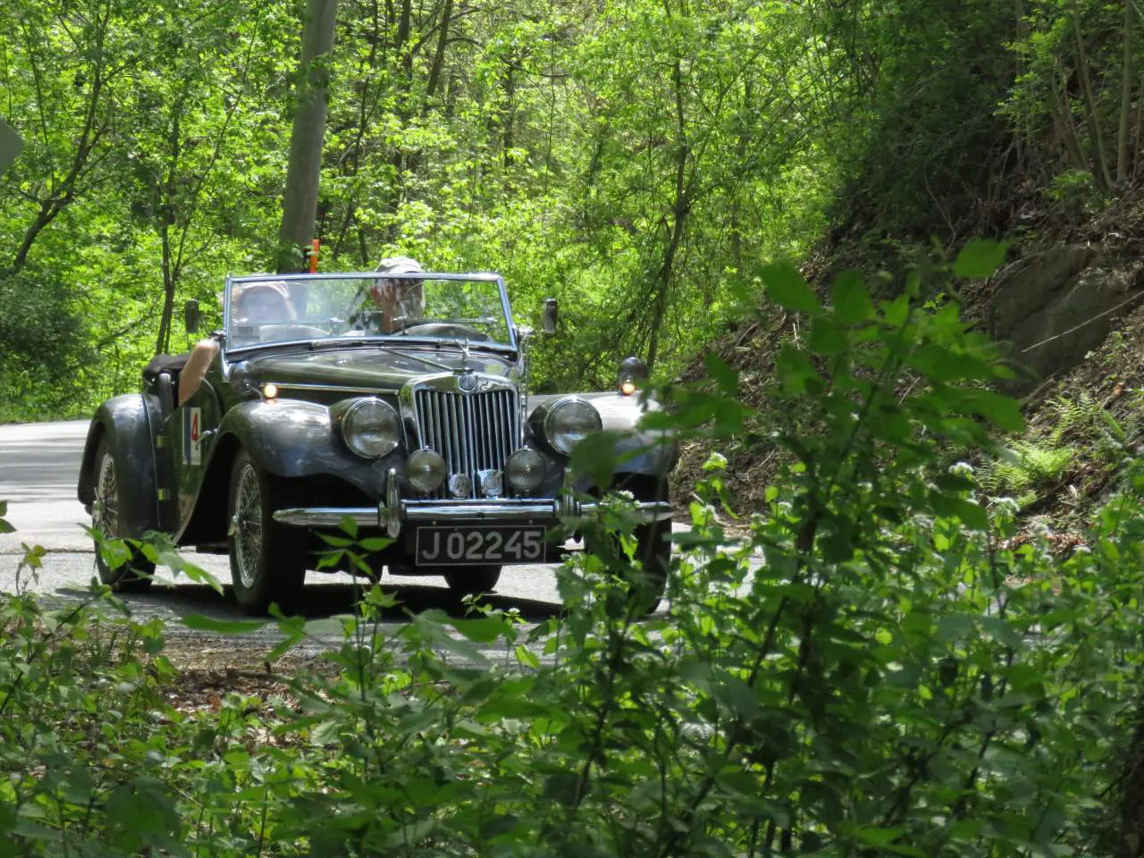 A vintage car is driving through the woods.
