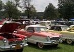 A row of classic vintage cars displayed outdoors on a grassy area.